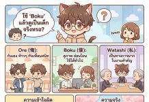 Boku ในภาษาญี่ปุ่น หากผู้ชายใช้จะดูเป็นเด็กไหม ? boku for man ToonGuru