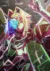 Yasei no Last Boss ga Arawareta!